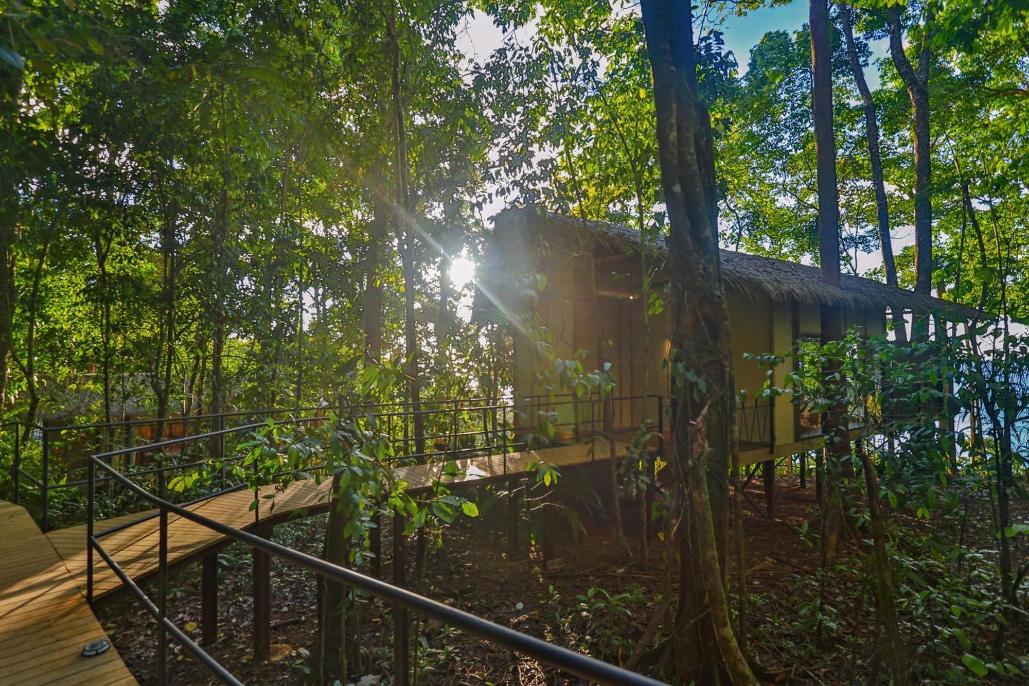 Corcovado Wilderness Lodge By Scp San Pedrillo Exterior foto