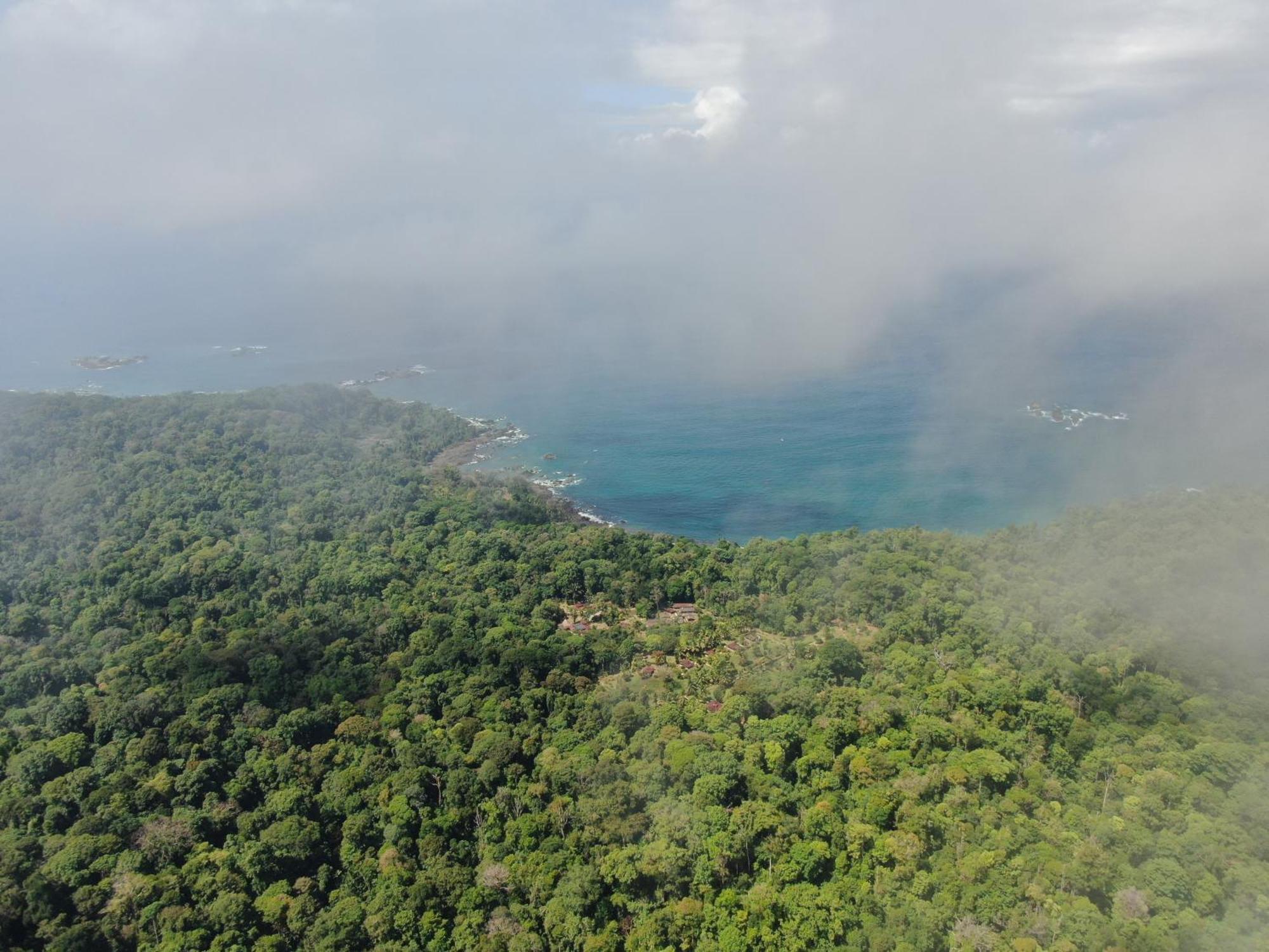 Corcovado Wilderness Lodge By Scp San Pedrillo Exterior foto