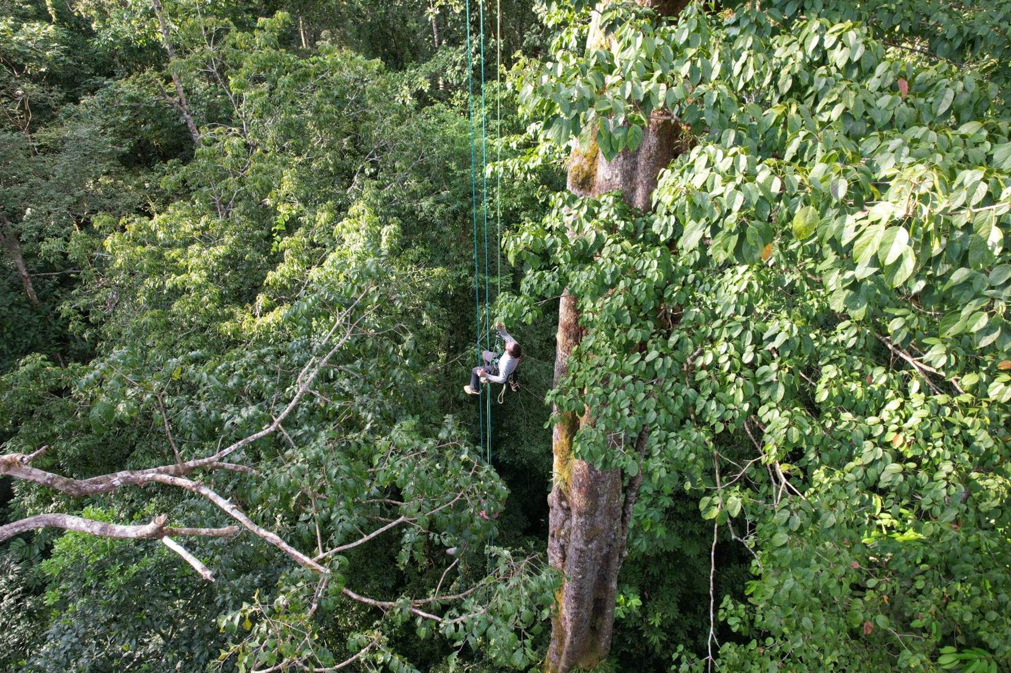 Corcovado Wilderness Lodge By Scp San Pedrillo Exterior foto